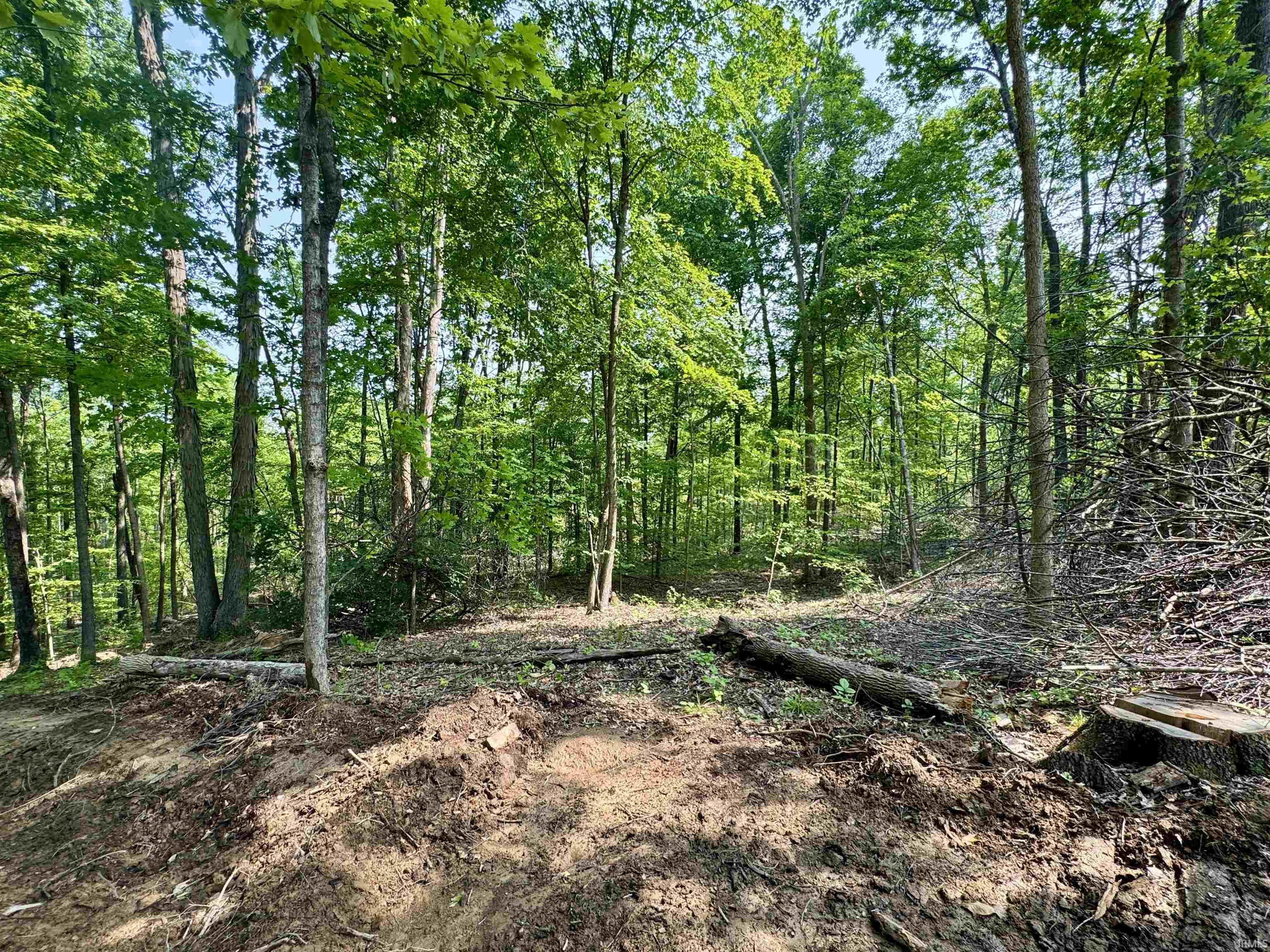 1 State Road 237 English, IN 47118 - Photo 7 of 18