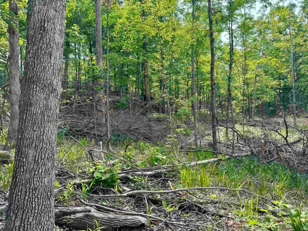 $231,900 | 1 State Road 237, English, IN 47118