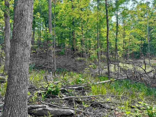 $216,480 | 1 State Road 237, English, IN 47118