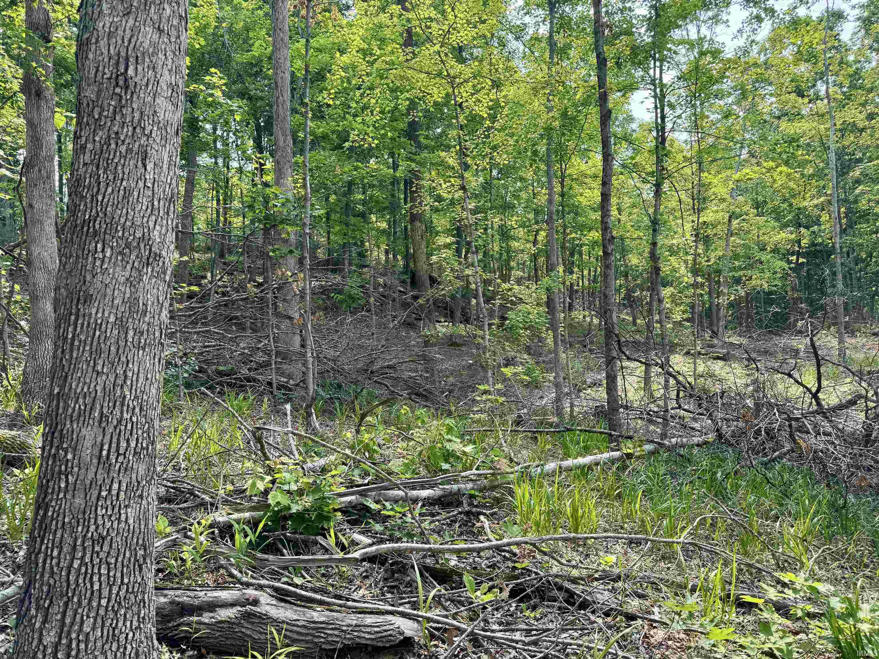 1 State Road 237 English, IN 47118 - Photo 8 of 18