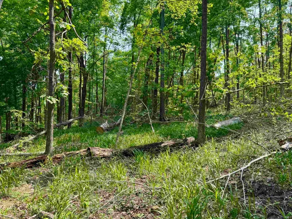 $231,900 | 1 State Road 237, English, IN 47118