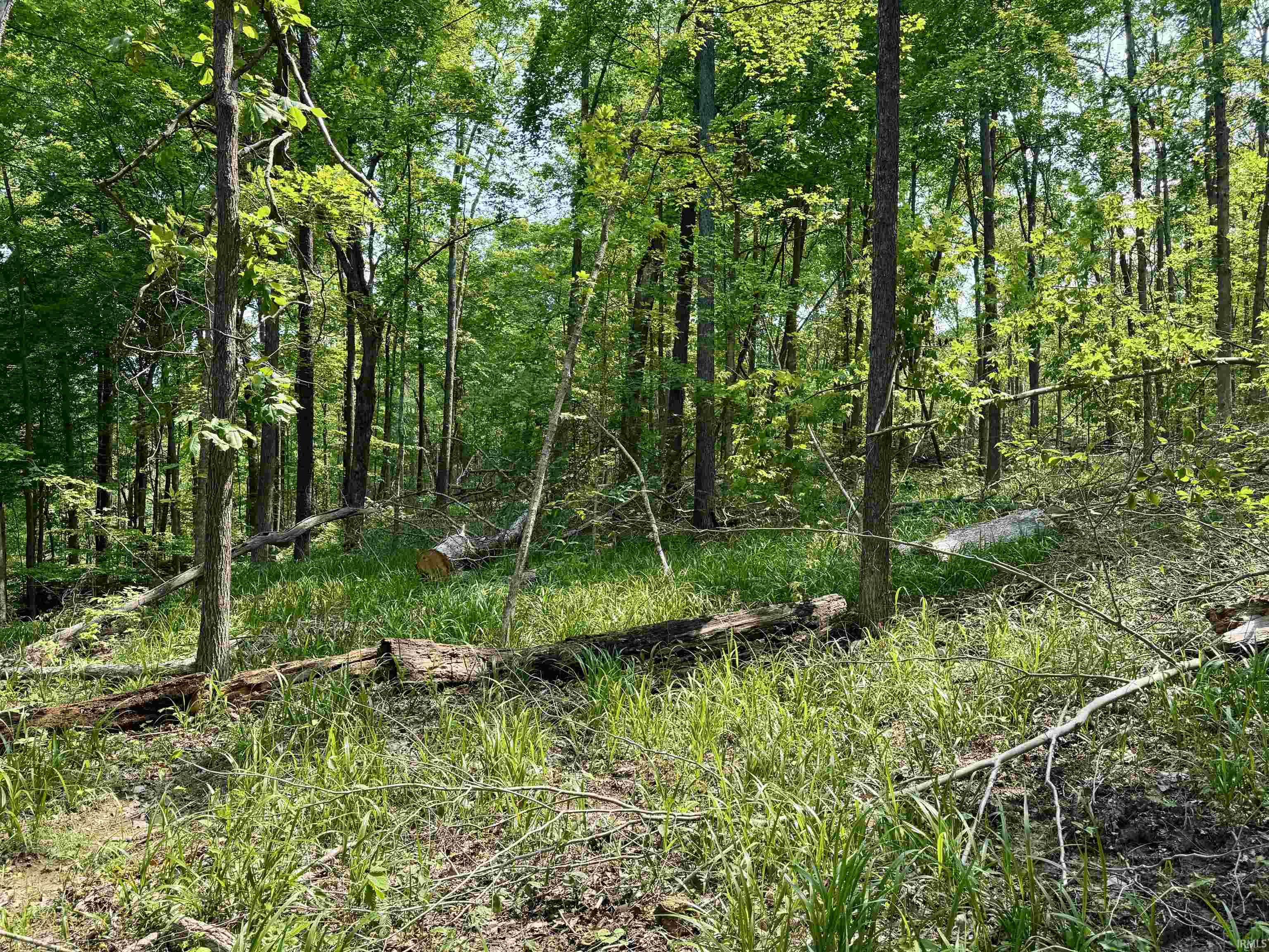 1 State Road 237 English, IN 47118 - Photo 10 of 18