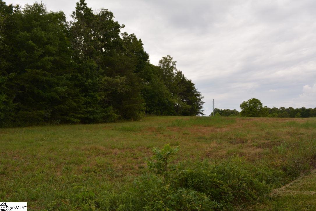 0 Gramling School Road, Unit LOT 1 Inman, SC 29349 - Photo 14 of 17