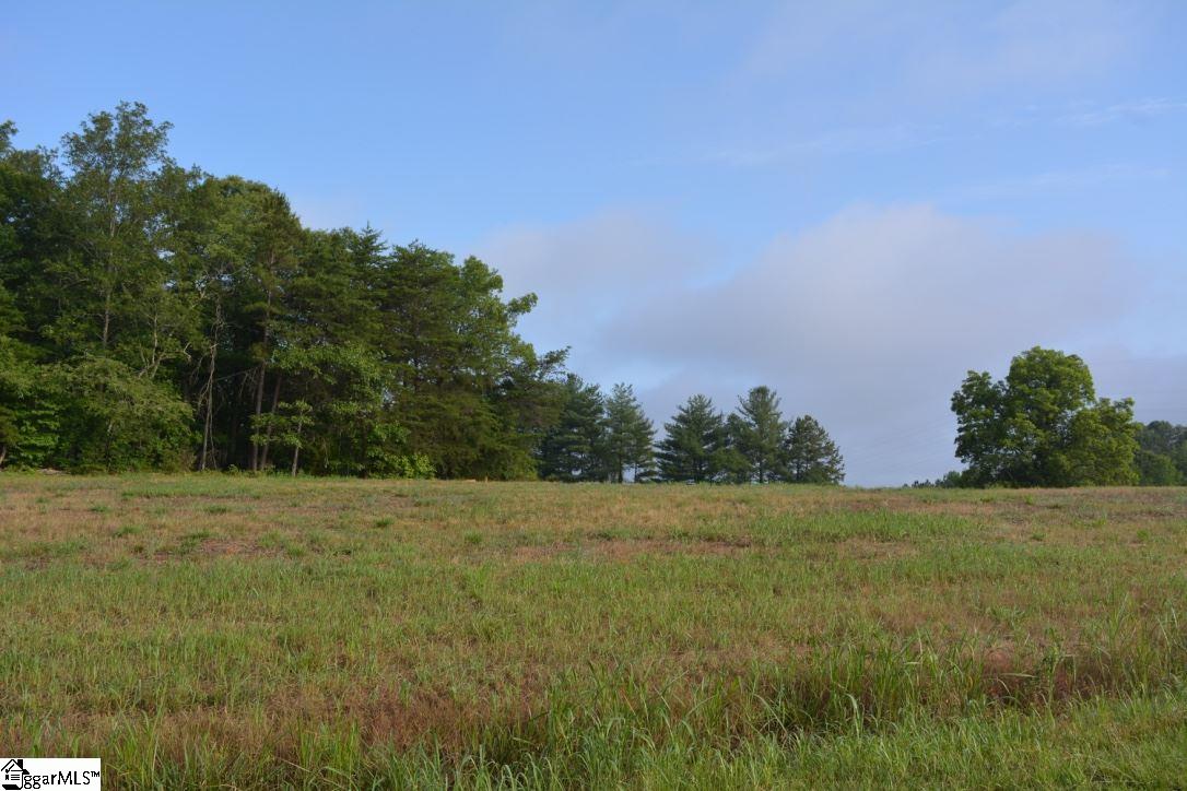 0 Gramling School Road, Unit LOT 1 Inman, SC 29349 - Photo 4 of 17
