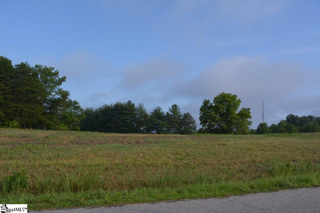0 Gramling School Road, Unit LOT 1 Inman, SC 29349 - Photo 7 of 17