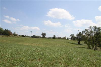 2344 Union Mill Road Nicholasville, KY 40356 - Photo 53 of 56 Photo 53