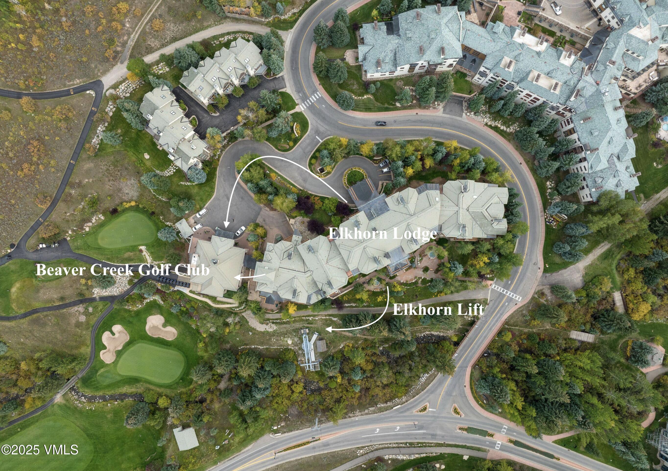 51 Offerson Road, Unit 202 Beaver Creek, CO 81620 - Photo 18 of 19 a picture of flowers