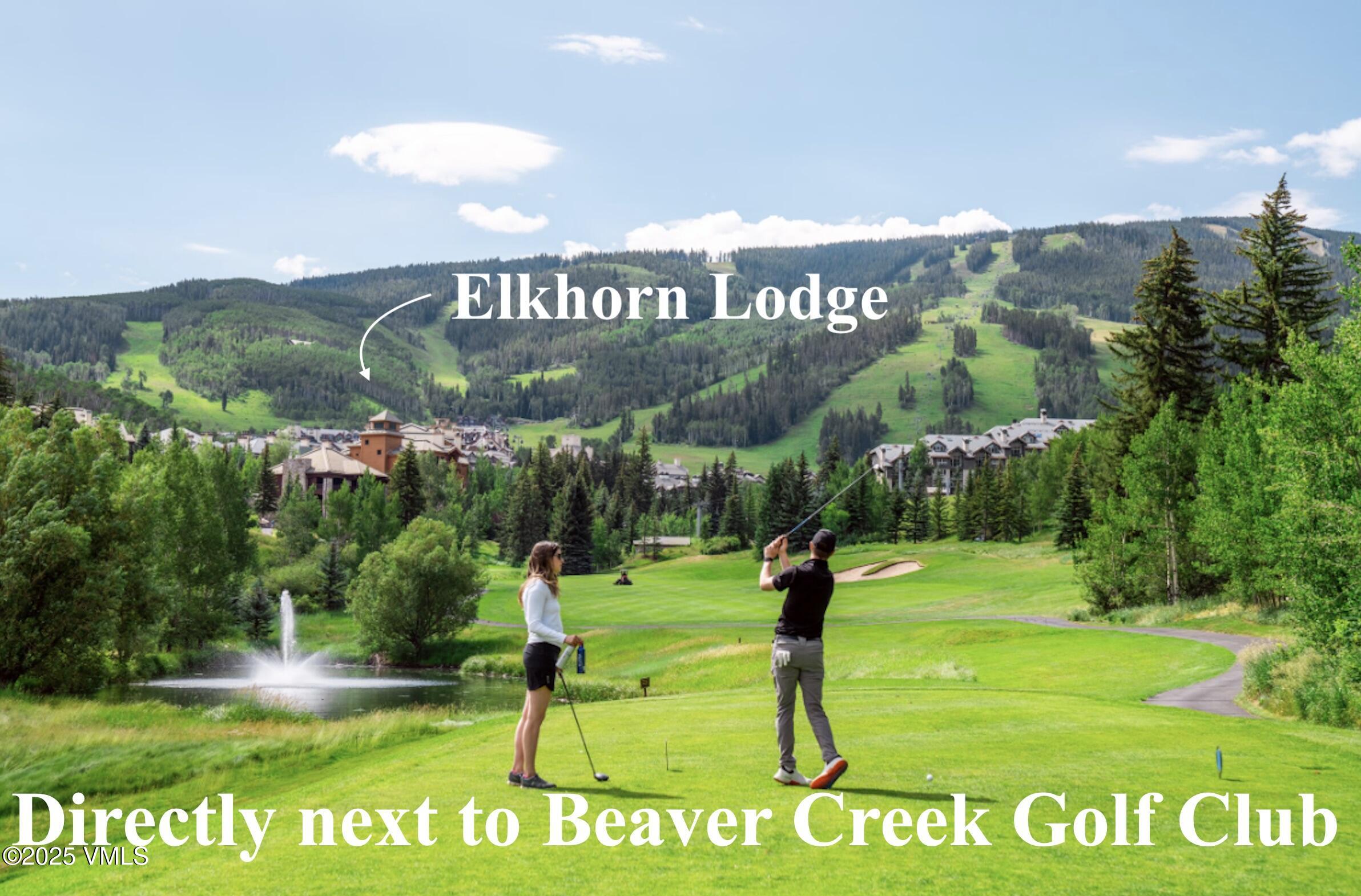 51 Offerson Road, Unit 202 Beaver Creek, CO 81620 - Photo 19 of 19 a view of a park with a park