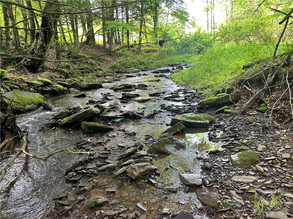 0 Oregon Road Gilbertsville, NY 13776 - Photo 2 of 5