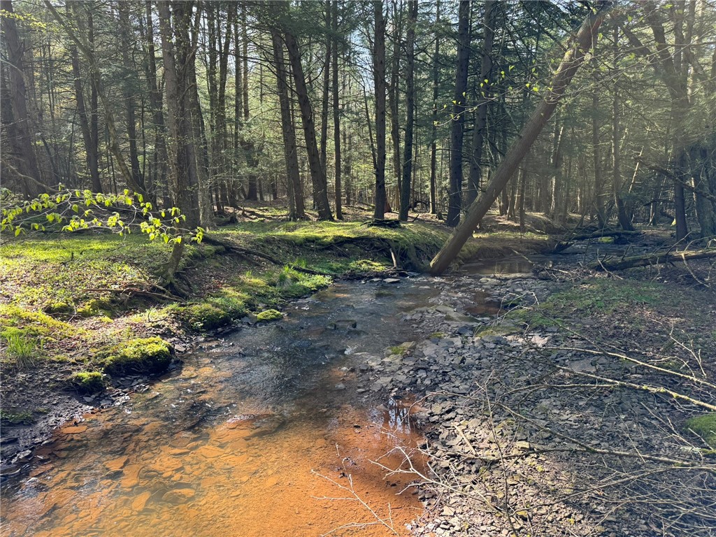 0 Oregon Road Gilbertsville, NY 13776 - Photo 4 of 5