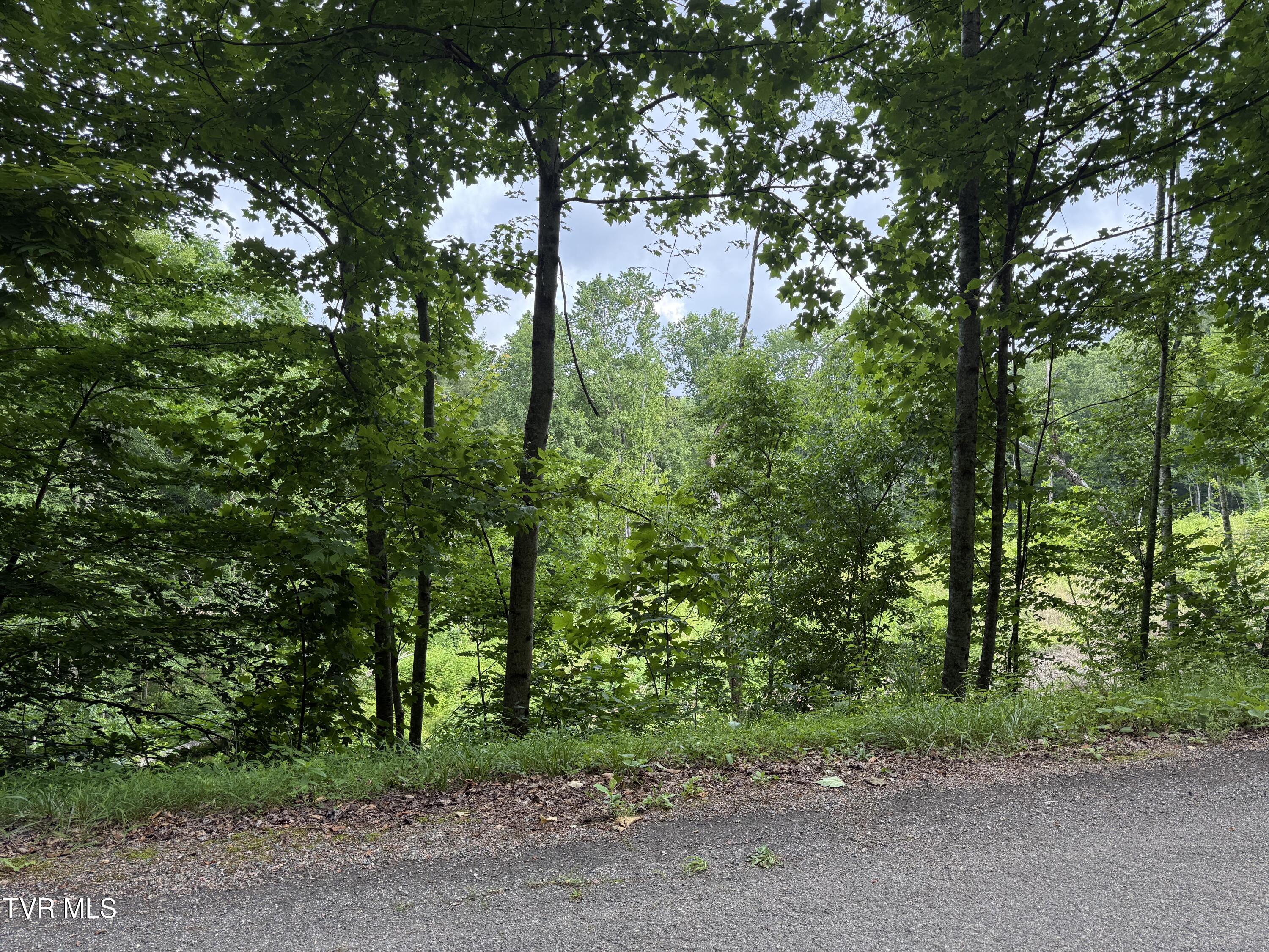Tbd Rhea Lane, Unit 57 & 58 Mountain City, TN 37683 - Photo 10 of 10 TBD Rhea Lane 8