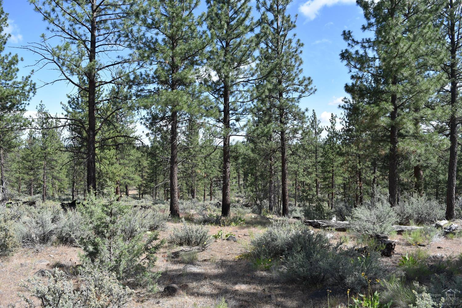 0 Black Butte Rd Camp Sisters, OR 97759 - Photo 10 of 19 Gallery Image 10