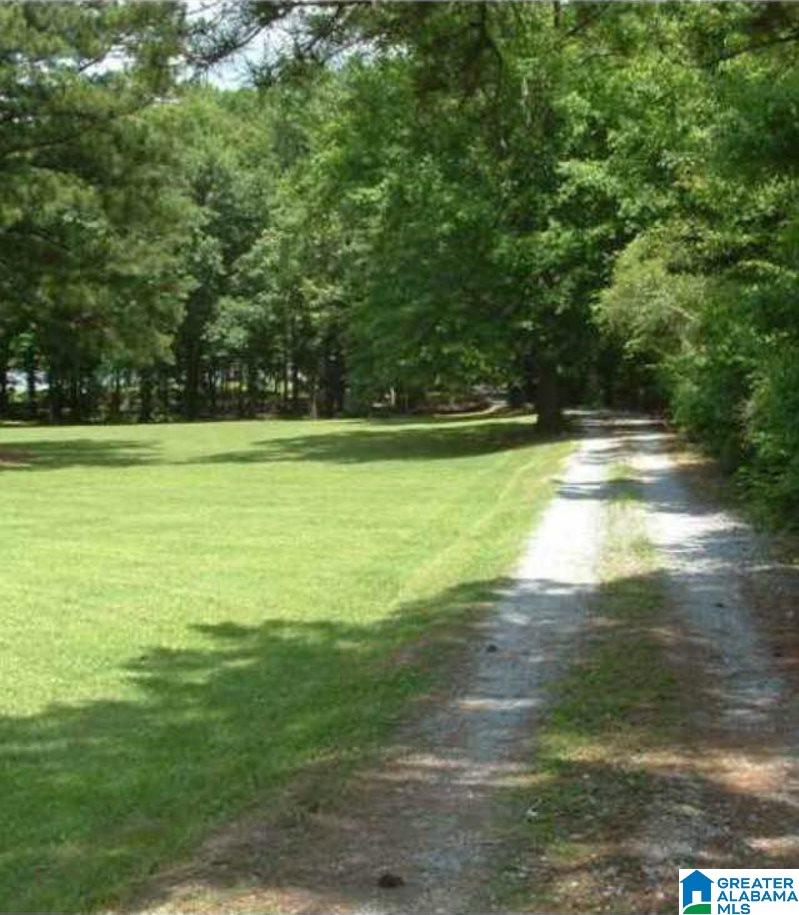 2510 Hebb Road Wilsonville, AL 35186 - Photo 2 of 18