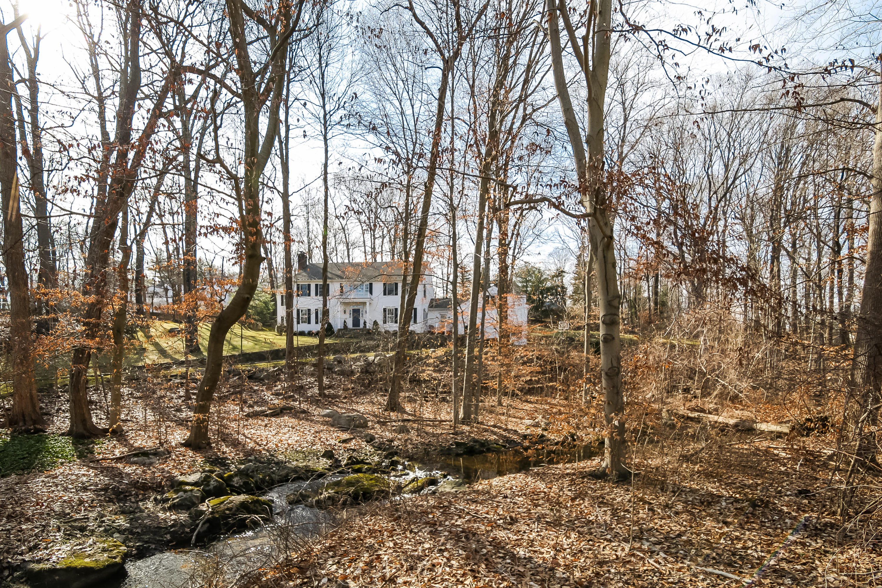 228 Laurel Road New Canaan, CT 06840 - Photo 35 of 38 a view of a forest filled with trees