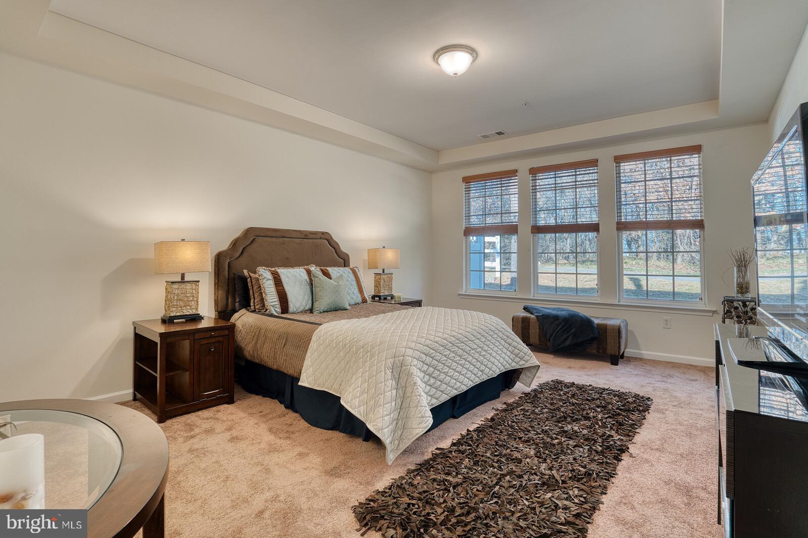 13113 Winding Trail Road Laurel, MD 20707 - Photo 17 of 37 HUGE PRIMARY BEDROOM WITH FRESH NEW PLUSH CARPET