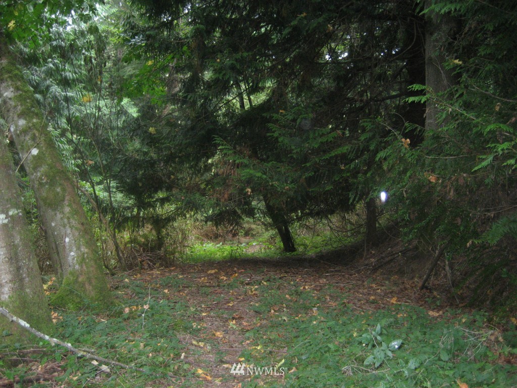 6676 Heggeness Road Clinton, WA 98236 - Photo 12 of 16 Gallery Image 12