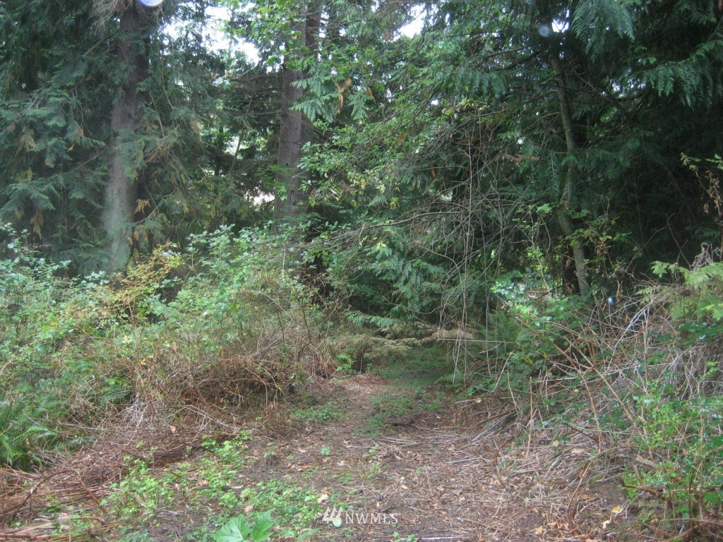6676 Heggeness Road Clinton, WA 98236 - Photo 14 of 16 Gallery Image 14