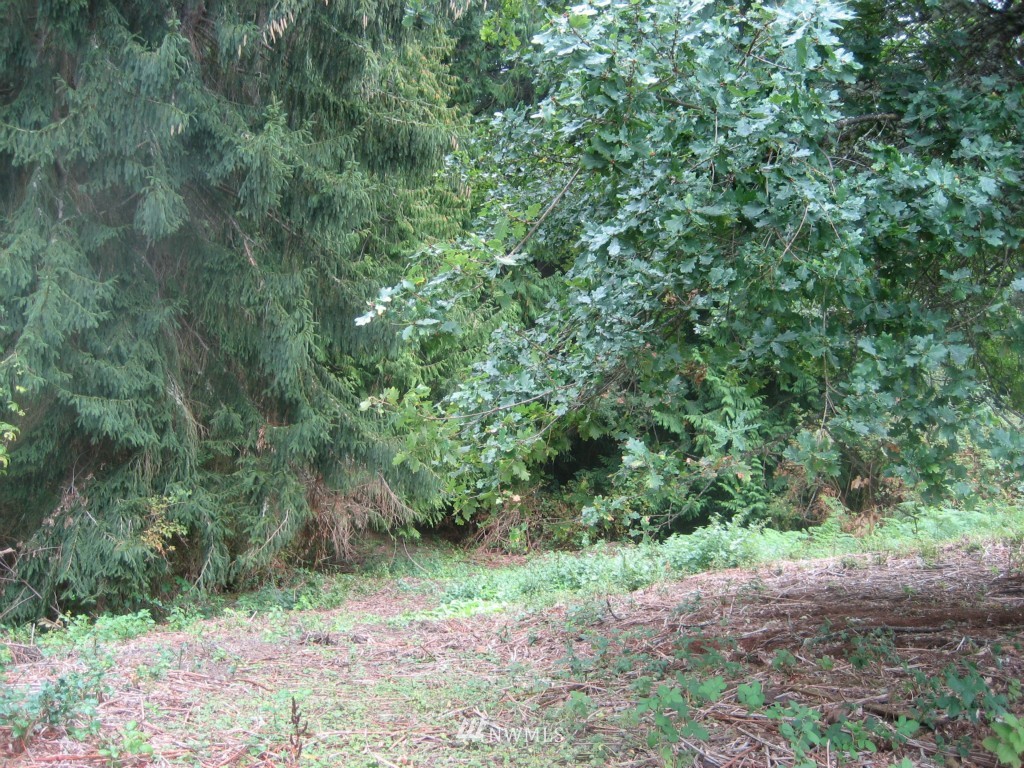 6676 Heggeness Road Clinton, WA 98236 - Photo 3 of 16 Gallery Image 3