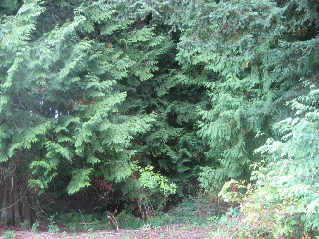 6676 Heggeness Road Clinton, WA 98236 - Photo 4 of 16 Gallery Image 4
