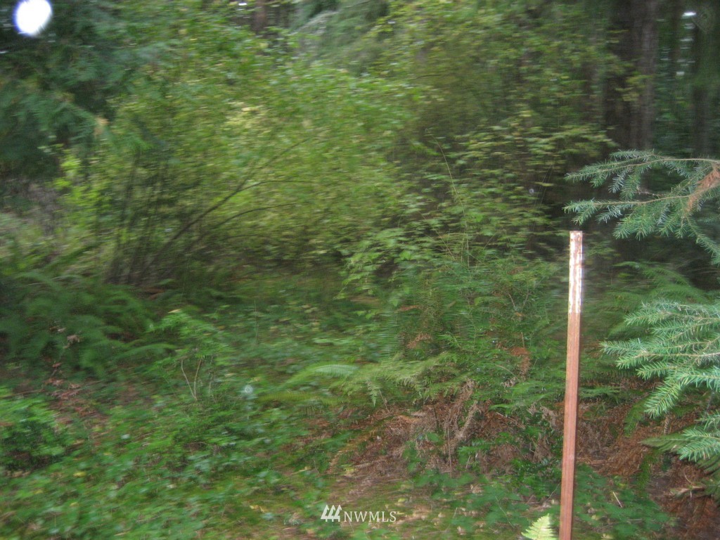 6676 Heggeness Road Clinton, WA 98236 - Photo 8 of 16 Gallery Image 8