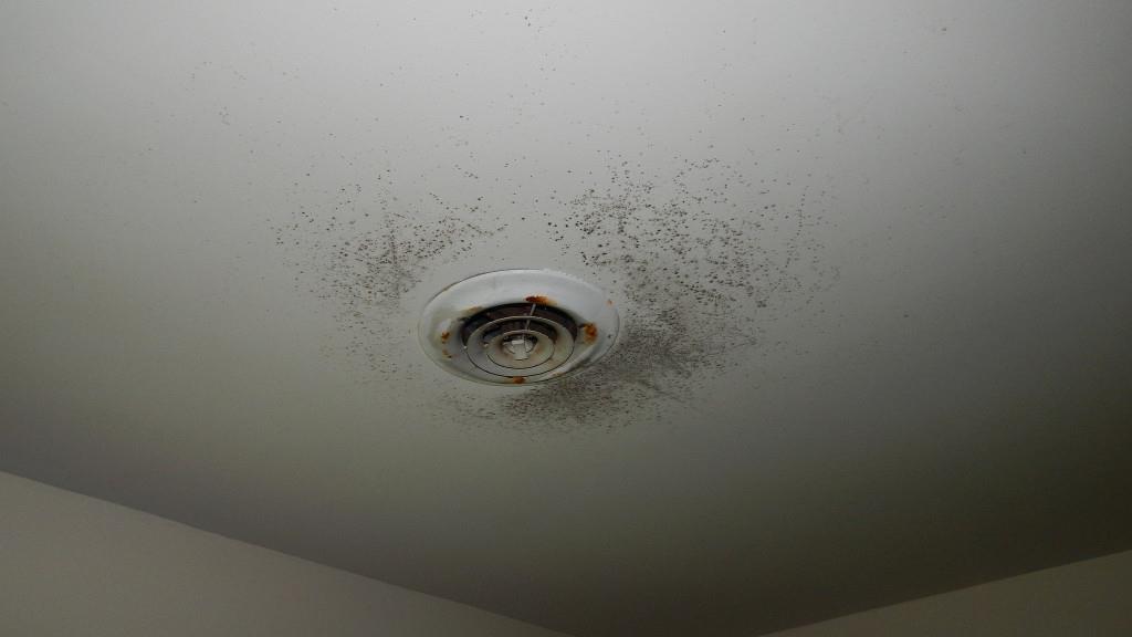 700 Lakeview Road Brownville, ME 04414 - Photo 10 of 15 mold-like substance on ceiling in...