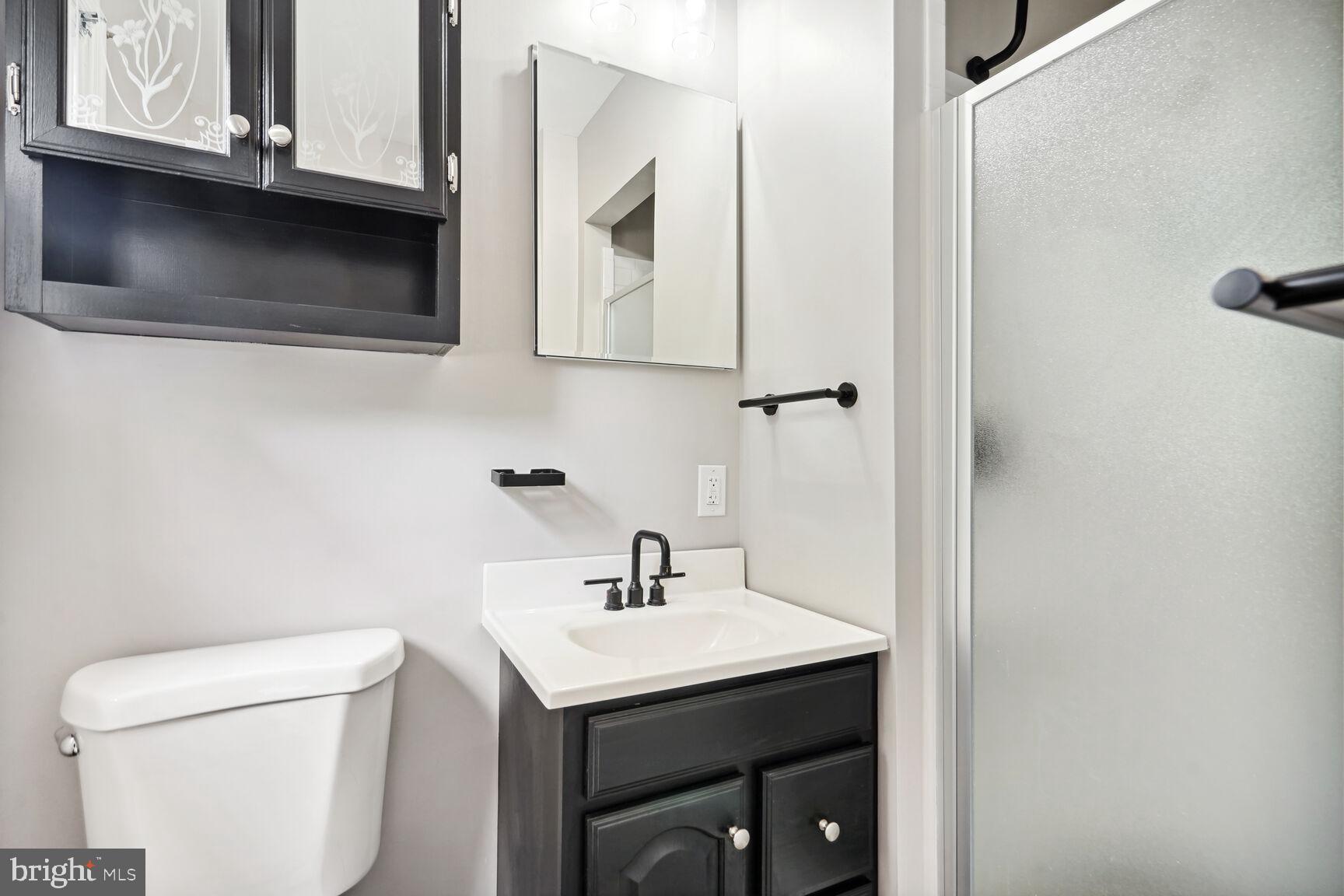 8420 Rambler Drive Adelphi, MD 20783 - Photo 12 of 29 Primary Bathroom