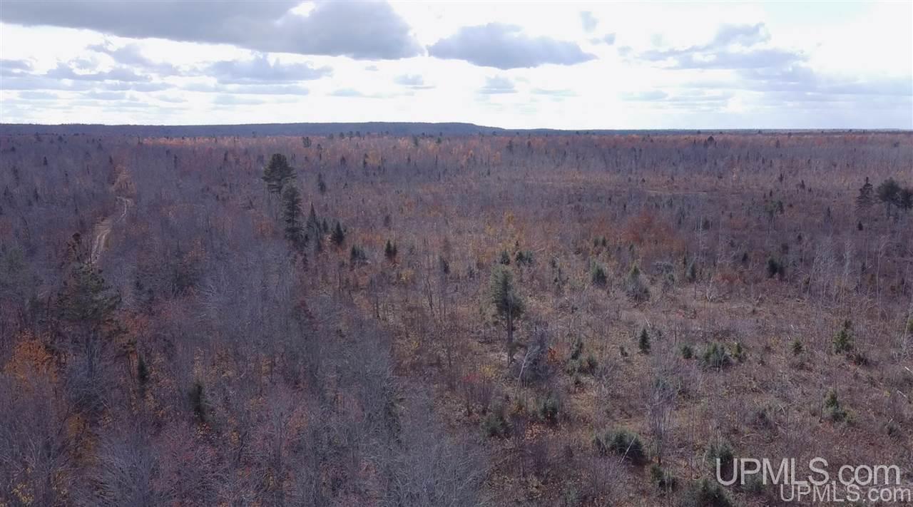 Tbd West Tbd W Co Road Seney, MI 49883 - Photo 12 of 12