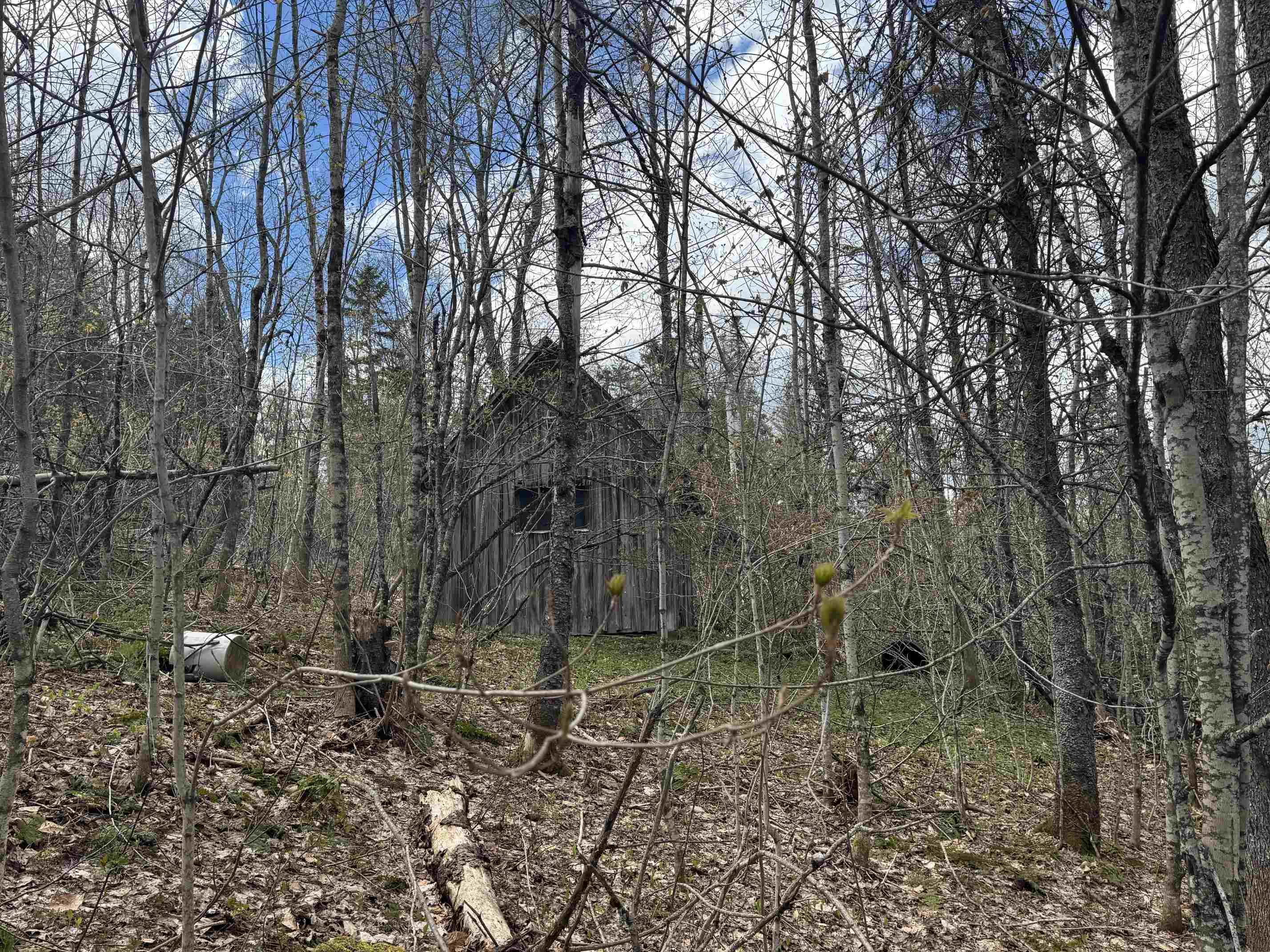 316 Last Road Cabot, VT 05647 - Photo 20 of 26