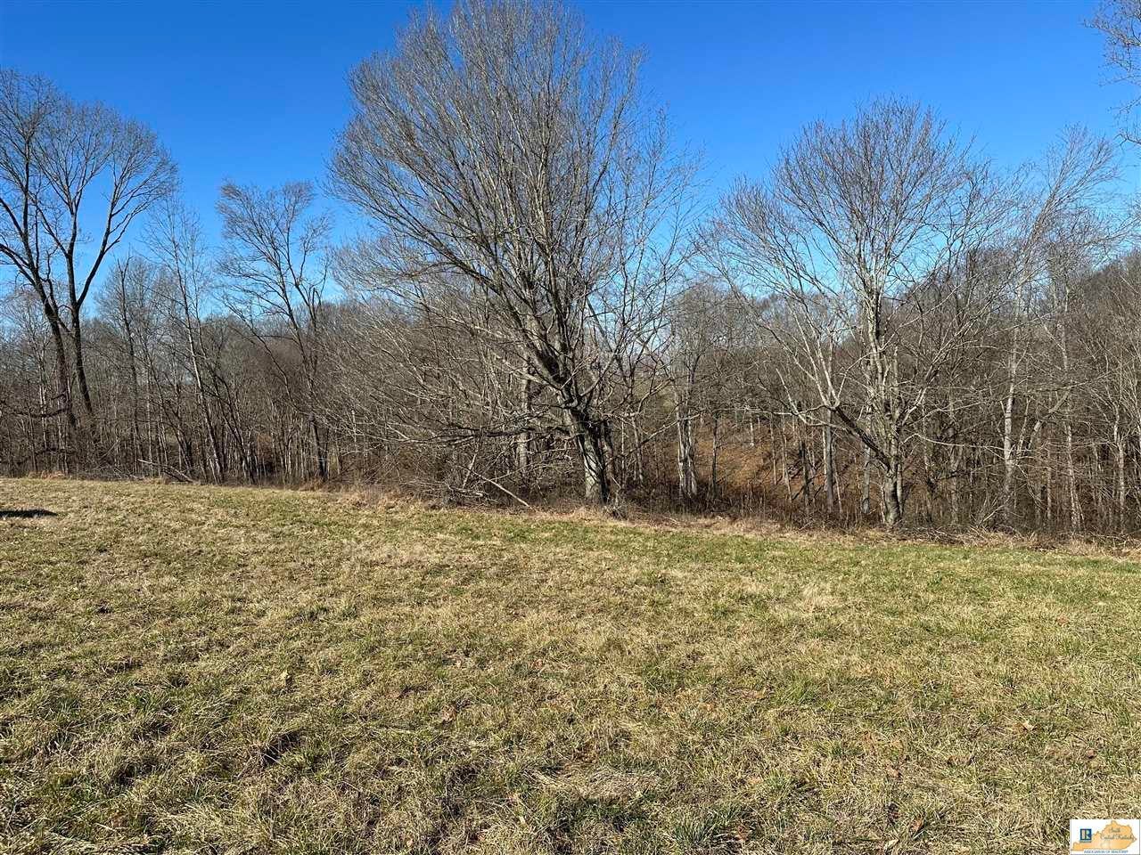 501 Brockman Road Columbia, KY 42728 - Photo 6 of 9 Gallery Image 6