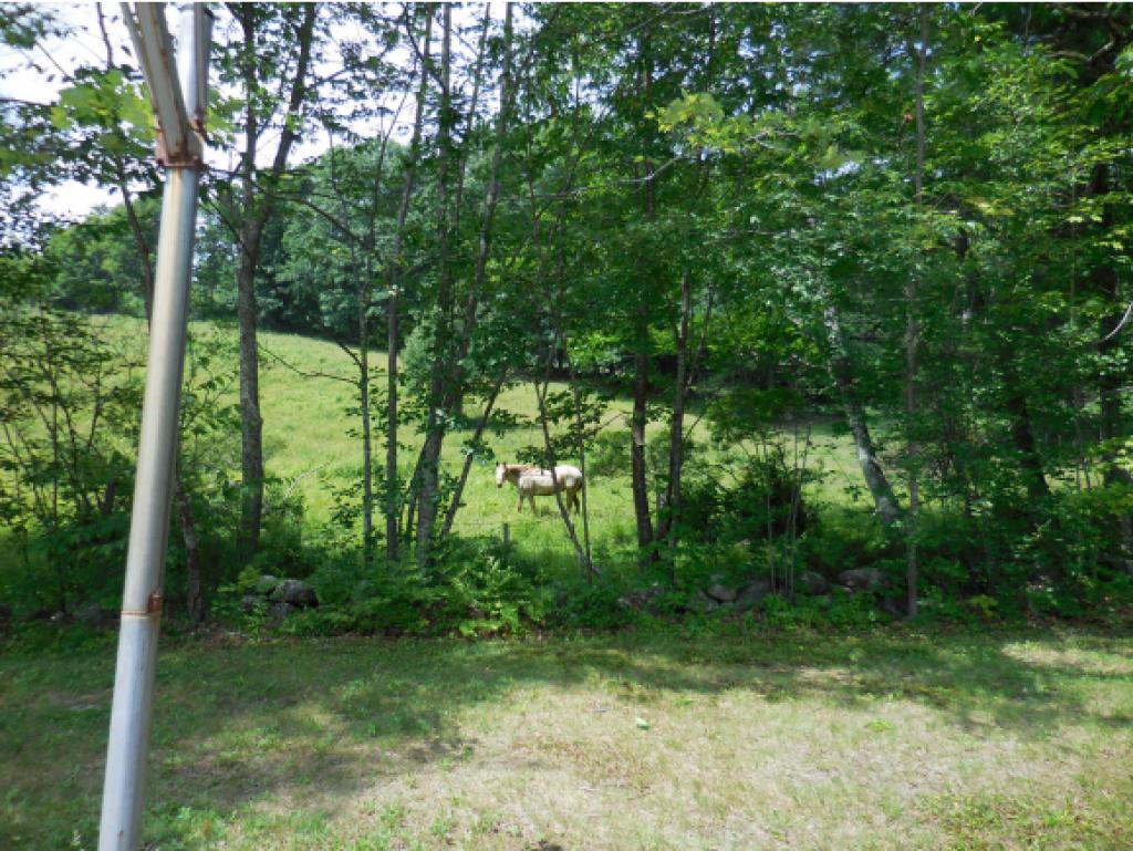 248 Proctor Road Jaffrey, NH 03452 - Photo 31 of 35 Gallery Image 31