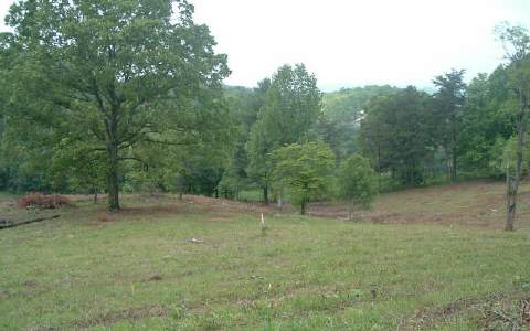 Fortenberry Road Young Harris, GA 30582 - Photo 1 of 1 Main View