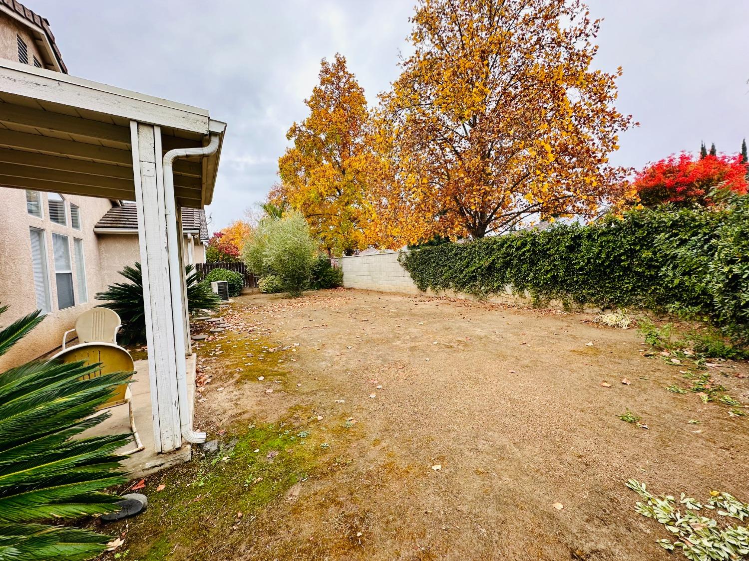2439 Prescott Avenue Clovis, CA 93619 - Photo 22 of 25 a view of backyard with a large tree