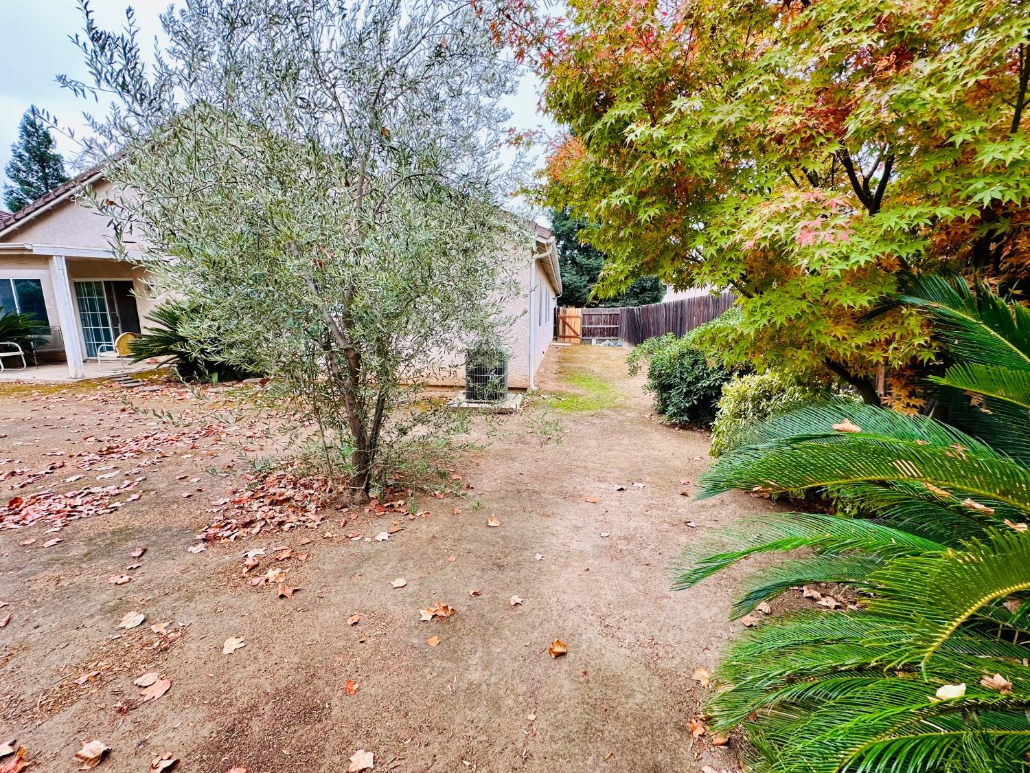 2439 Prescott Avenue Clovis, CA 93619 - Photo 23 of 25 a pathway of a house with a yard
