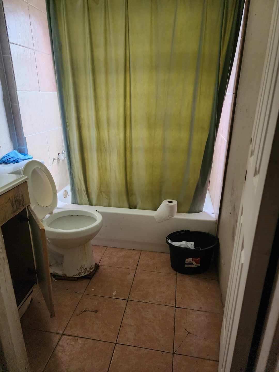 332 Pennsylvania Street Houston, TX 77029 - Photo 21 of 22 a bathroom with a sink and toilet