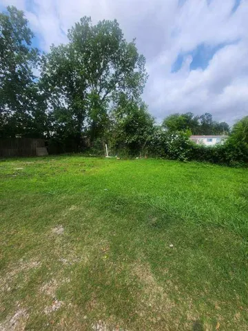 a view of a green yard