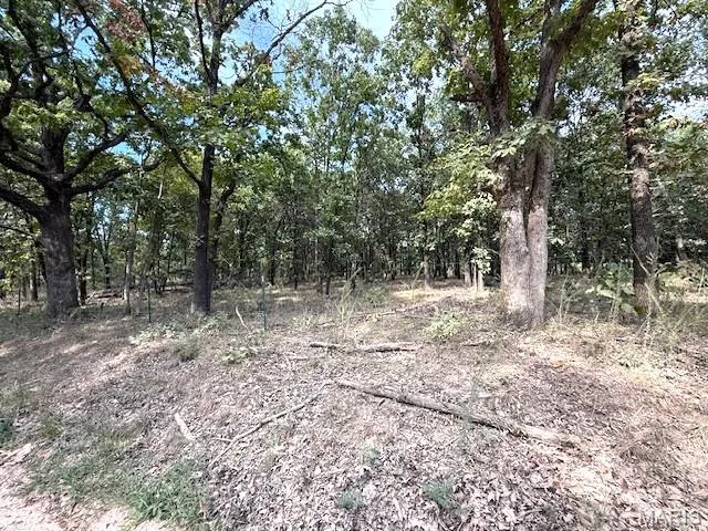 $39,900 | 13025 Industry Road, Lebanon, MO 65536