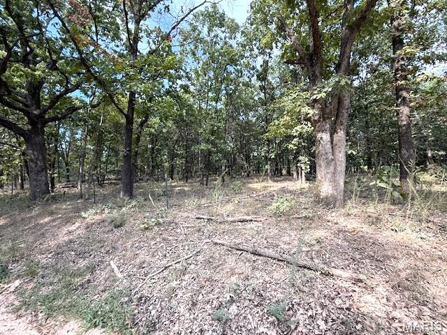 13025 Industry Road Lebanon, MO 65536 - Photo 11 of 13