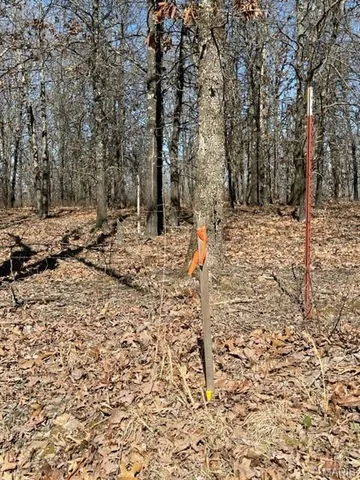 $39,900 | 13025 Industry Road, Lebanon, MO 65536