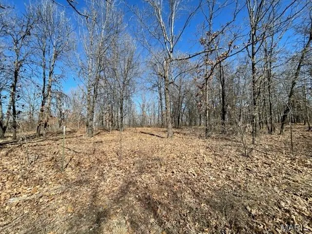 $39,900 | 13025 Industry Road, Lebanon, MO 65536