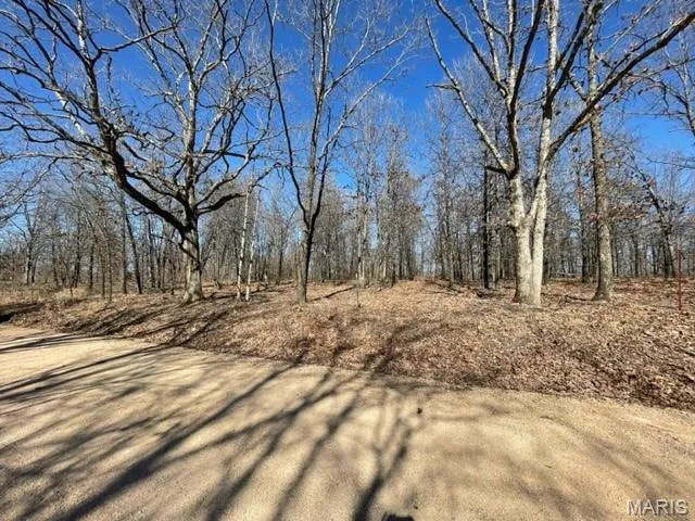 $39,900 | 13025 Industry Road, Lebanon, MO 65536