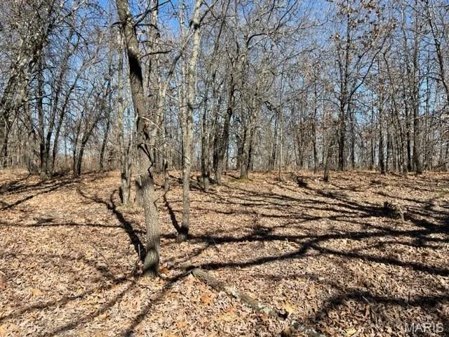 $39,900 | 13025 Industry Road, Lebanon, MO 65536