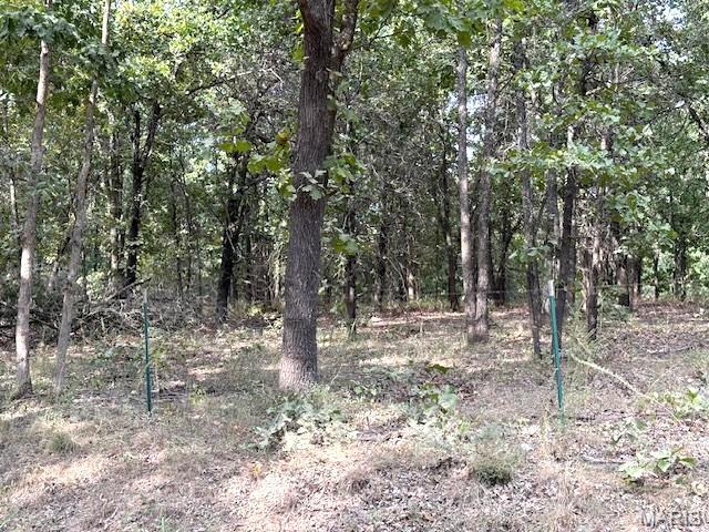 13025 Industry Road Lebanon, MO 65536 - Photo 7 of 13