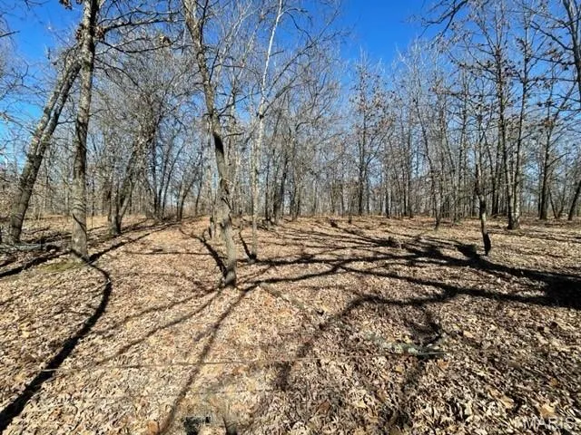 $39,900 | 13025 Industry Road, Lebanon, MO 65536