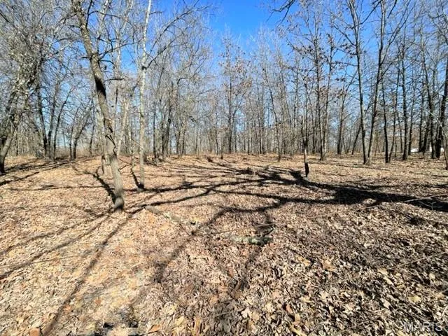 $39,900 | 13025 Industry Road, Lebanon, MO 65536