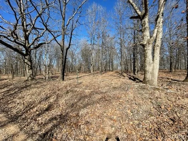 $39,900 | 13025 Industry Road, Lebanon, MO 65536