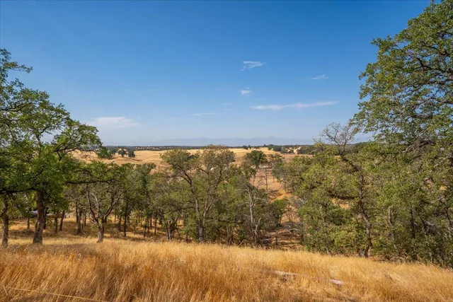a view of yard covered with green space