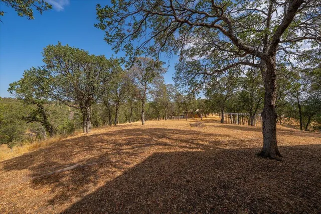 a view of dirt yard with a tree