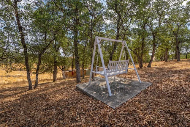 a view of a park with a tree