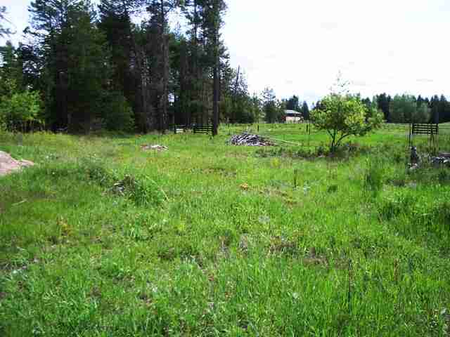 28815 North Spotted Road Deer Park, WA 99006 - Photo 5 of 8
