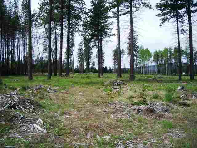 28815 North Spotted Road Deer Park, WA 99006 - Photo 7 of 8